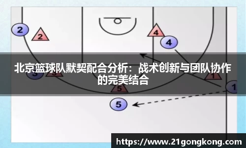 zoty中欧官方网站